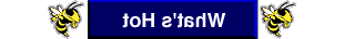 --What's Hot--